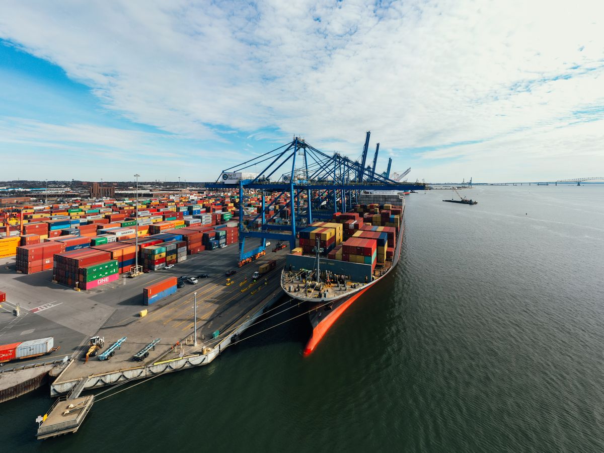 Container ship and cranes during cargo discharge